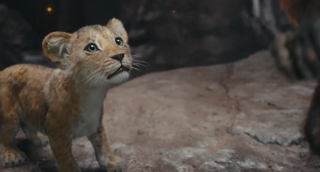 Mufasa – Le Roi Lion : l’origine d’un roi légendaire